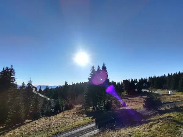 Schöner Bergwald Bei Sonnigem Tag — Stockfoto