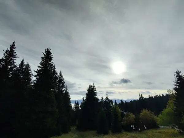 Hermoso Paisaje Montaña Con Bosque — Foto de Stock