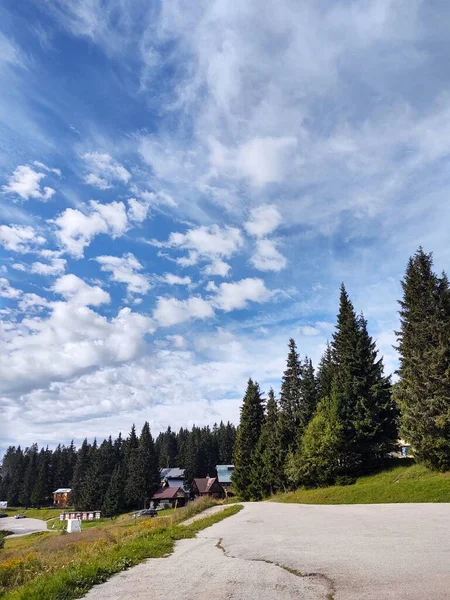 Vackra Bergslandskap Med Skog — Stockfoto