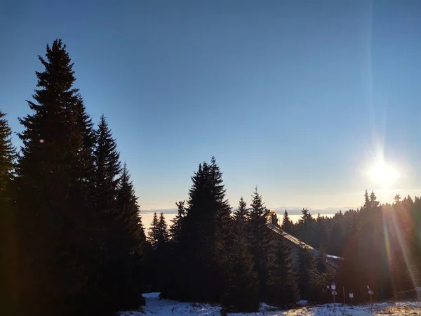 Hermoso Paisaje Invierno Con Bosque Día Soleado — Foto de Stock