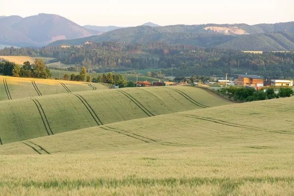 Luftaufnahme Von Feldern Und Wäldern Der Landschaft — Stockfoto