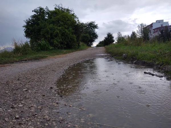 Route Rurale Par Temps Pluvieux — Photo