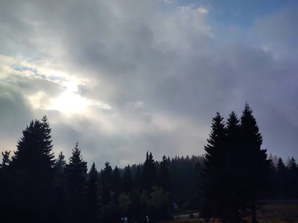 Wunderschöne Landschaft Mit Bergwald Vor Naturkulisse — Stockfoto