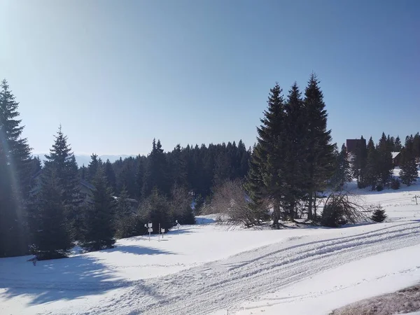 Hermoso Paisaje Invierno Con Bosque — Foto de Stock