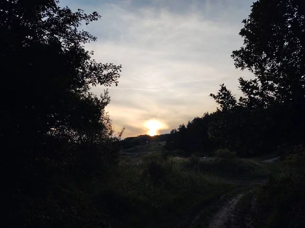Vacker Solnedgång Skogen Natur Bakgrund — Stockfoto