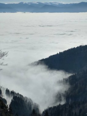 Ormanlı dağlarda sisli bir sabah