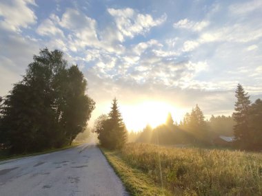 Gün batımında orman ve yol olan güzel bir manzara.