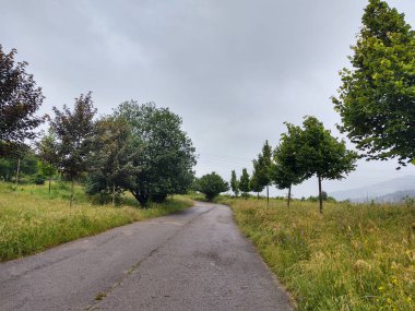 asfalt yol dağ orman