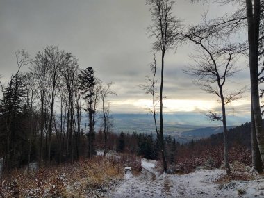 Dağ ormanlarıyla güzel kış manzarası