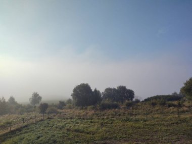 güzel dağ manzarası ile orman