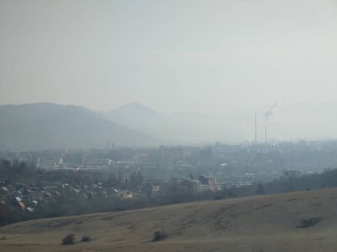 Mavi gökyüzü arka planında ağaç dalları