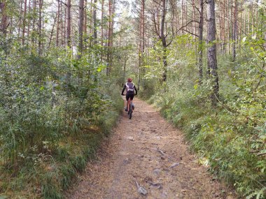 Bisikletçi ormanda bisiklet sürüyor.