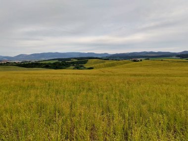 Tarlası olan güzel dağ manzarası