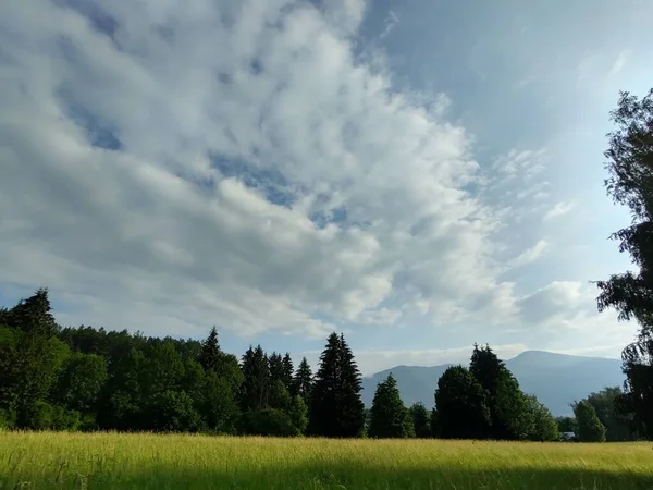 Hermoso Paisaje Montaña Con Bosque — Foto de Stock