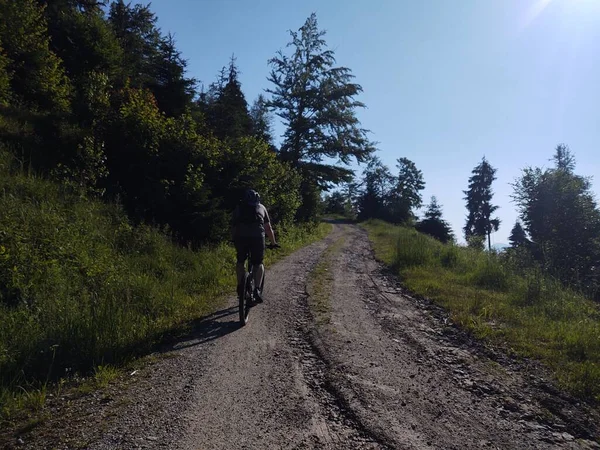 Человек Едет Велосипеде Дороге Горы — стоковое фото