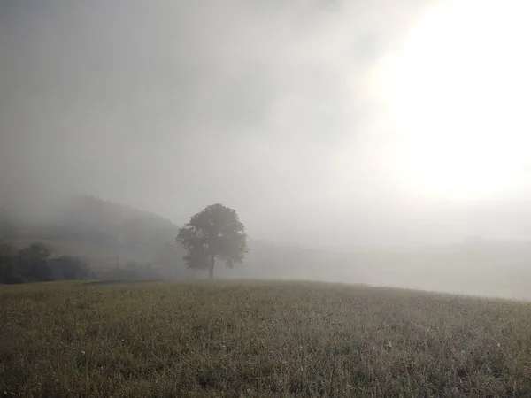 Красивый Горный Пейзаж Туманом — стоковое фото