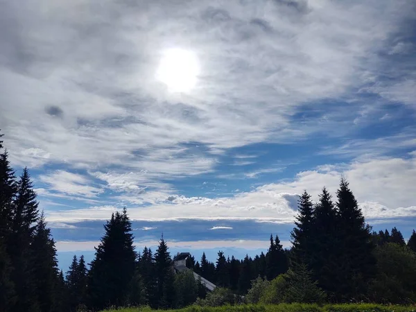 Bellissimo Paesaggio Montano Con Foresta — Foto Stock