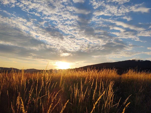 Bellissimo Sfondo Naturale Con Tramonto Campo — Foto Stock