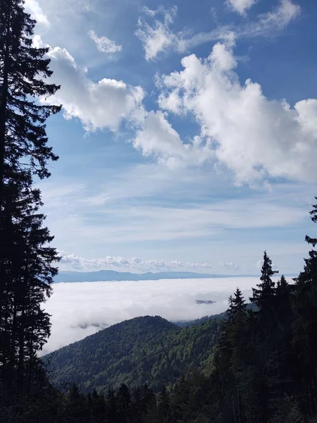 Krásná Krajina Horami Lesy Pozadí Přírody — Stock fotografie