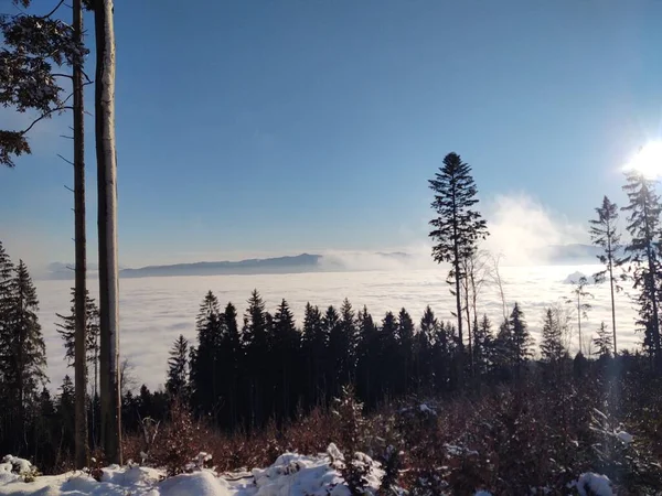 Όμορφο Χειμερινό Τοπίο Στα Βουνά Σύννεφα — Φωτογραφία Αρχείου
