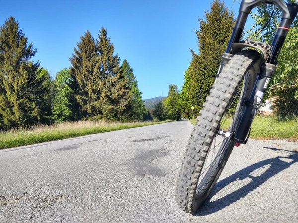 Cropped View Bicycle Forest — Stock Photo, Image