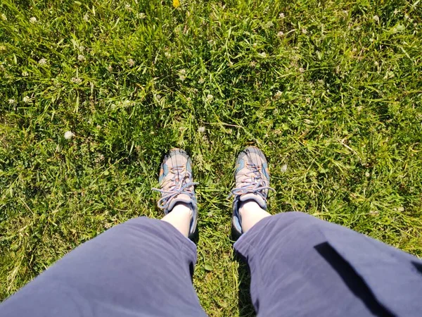 Füße Einer Frau Auf Grünem Gras — Stockfoto