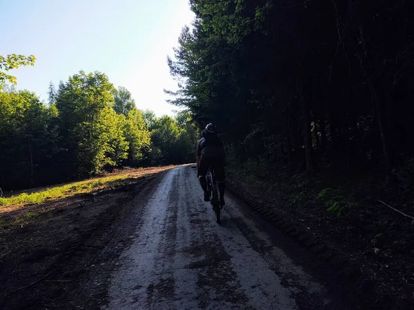Чоловік Їде Велосипеді Лісі — стокове фото