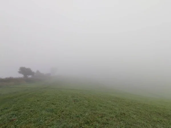 Grüne Wiese Nebligen Morgen — Stockfoto