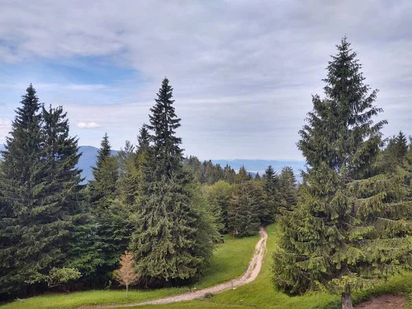 Güzel Dağ Manzarası Ile Orman — Stok fotoğraf