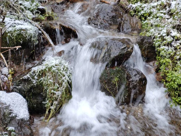 冬の森の中の美しい滝 — ストック写真