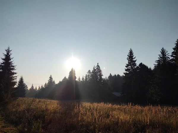 Bela Paisagem Montanhosa Com Floresta — Fotografia de Stock