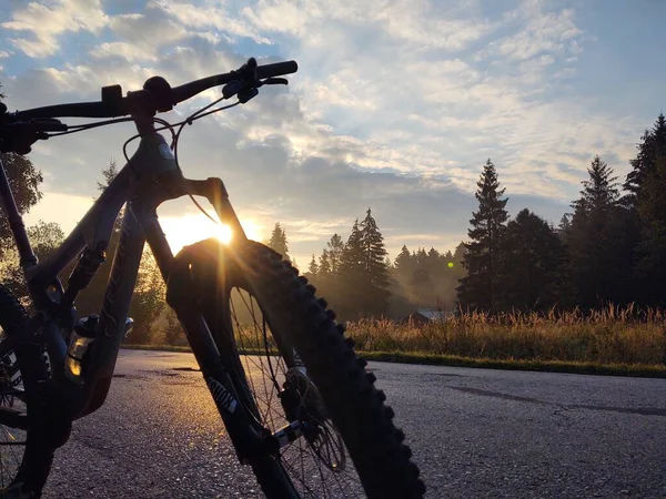 Велосипед Дорозі Лісі Заході Сонця — стокове фото
