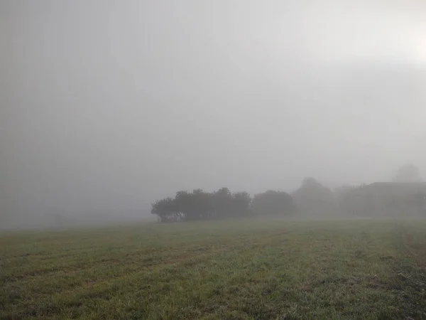 Schöne Landschaft Mit Feld Bei Nebel — Stockfoto