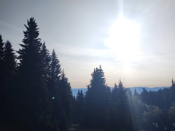 Hermoso Paisaje Montaña Con Bosque — Foto de Stock