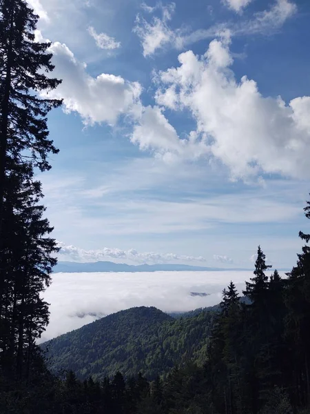 山や森を背景にした美しい風景 — ストック写真