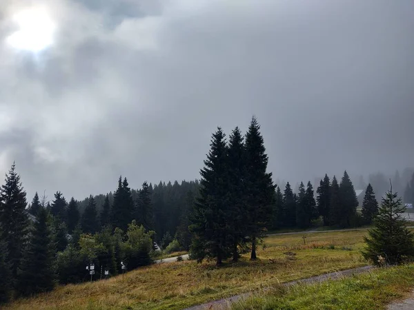 Hermoso Paisaje Con Bosque Montaña Sobre Fondo Naturaleza —  Fotos de Stock