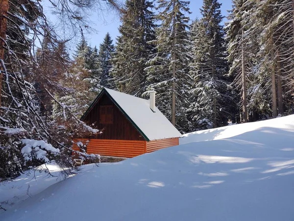 Holzhaus Winterwald — Stockfoto