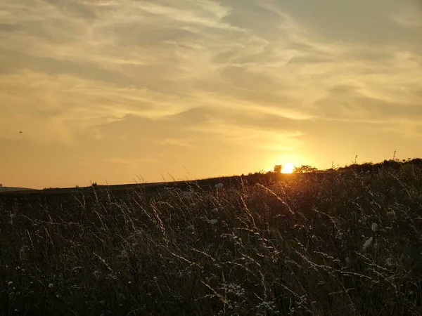 Champ Montagne Coucher Soleil — Photo