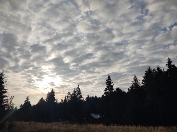 Beau Paysage Montagne Avec Forêt — Photo