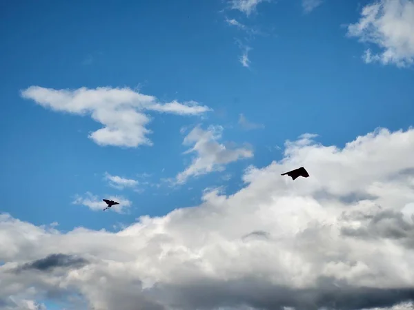 Kites Flying Cloudy Sky — Stock Photo, Image