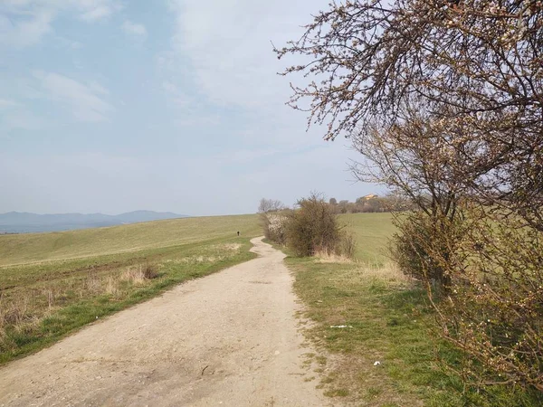 İlkbahar günü kırsalda yol