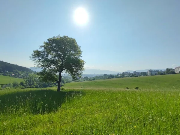 晴れた日の美しい山の風景 — ストック写真