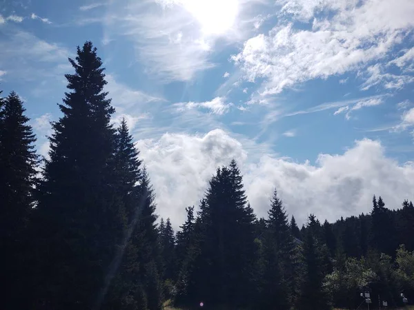Wunderschöne Landschaft Mit Wald Den Bergen — Stockfoto