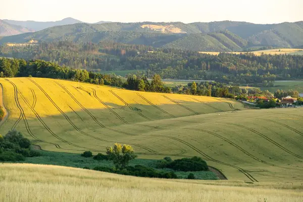 Schöne Landschaft Aus Feldern Und Stadt Bei Sonnenuntergang — Stockfoto