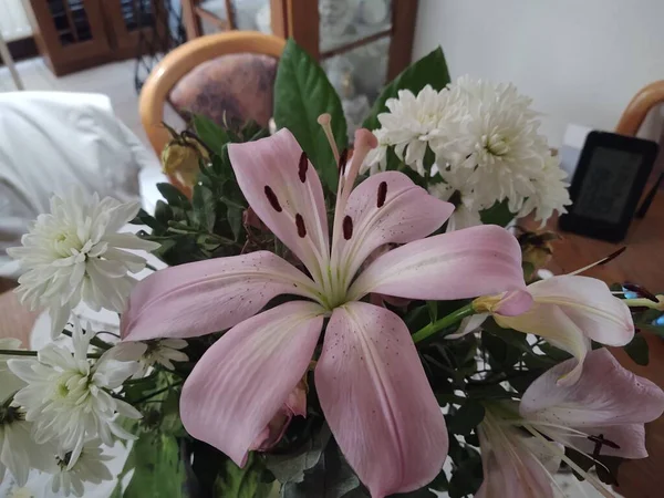 Bouquet Belles Fleurs Maison — Photo