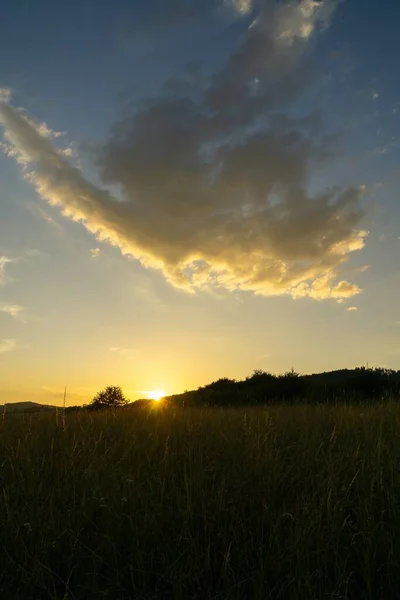 畑の上に美しい夕日 — ストック写真