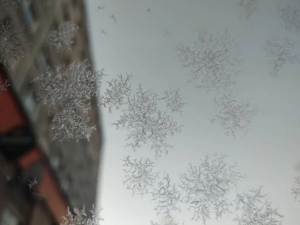 Schöner Winterhintergrund Mit Schnee — Stockfoto