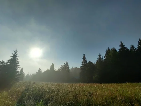 Krásné Horské Krajiny Lesem — Stock fotografie