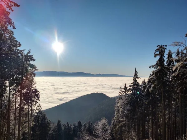 Vackert Bergslandskap Med Skog Vintern — Stockfoto