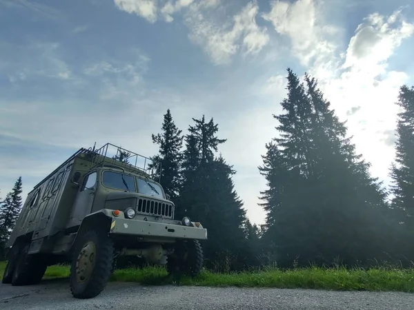 Militärauto Bei Tag Waldnähe — Stockfoto
